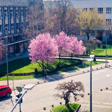 Bella Apartments Kruševac エクステリア 写真